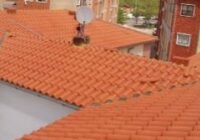 FOTO-4.JPG-nggid012-ngg0dyn-245x140x100-00f0w010c011r110f110r010t010